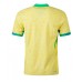 Brazil Replica Home Stadium Shirt Copa America 2024 Short Sleeve